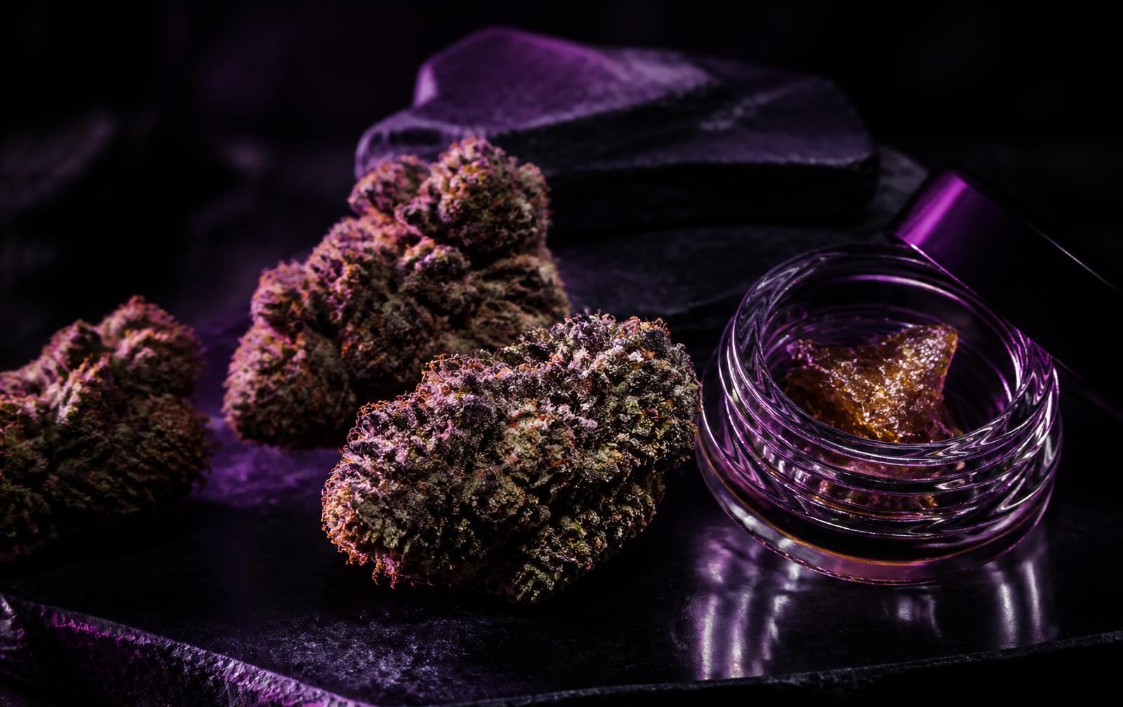 Cannabis flower and concentrate displayed on dark stone under purple light